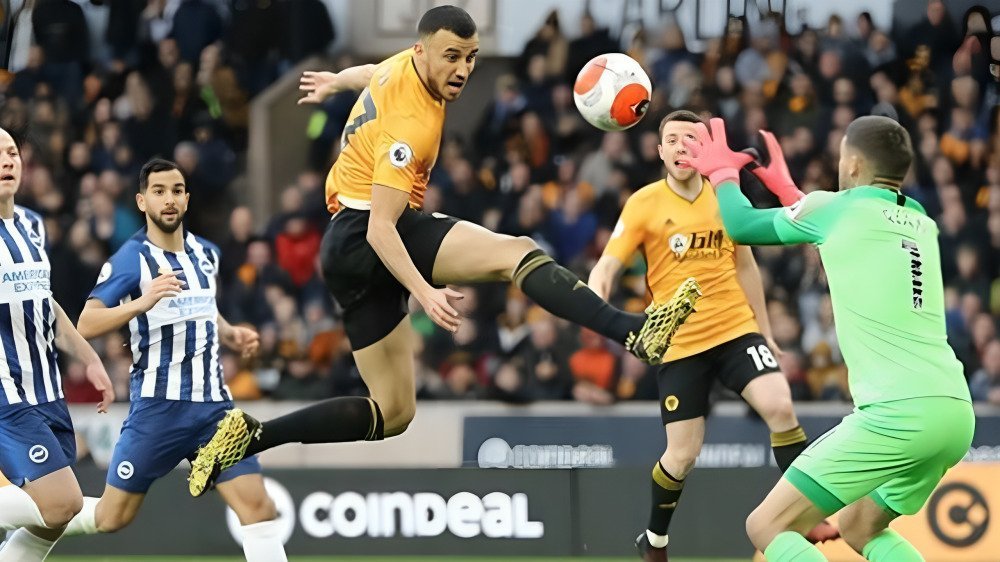 Brighton vs Wolves: Match Report, Key Highlights, and Analysis