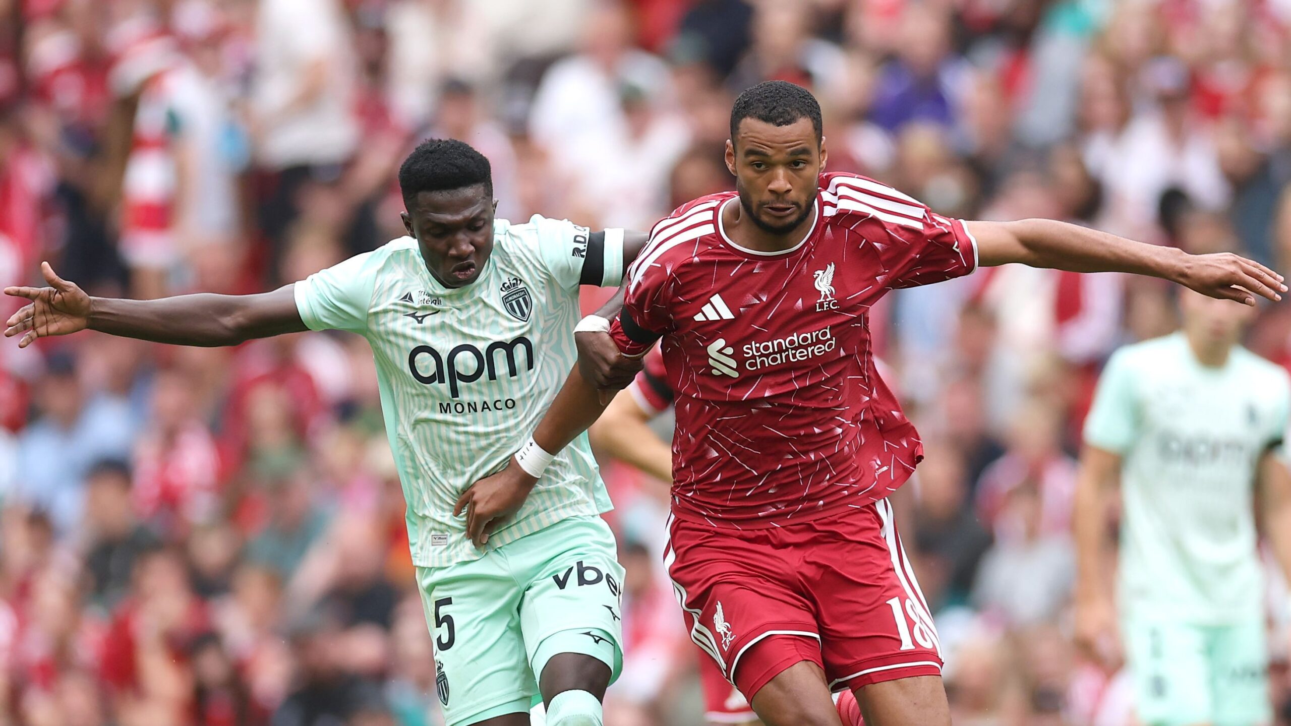 Cody Gakpo — Gakpo edges closer to Spurs exit from Liverpool after personal terms reported