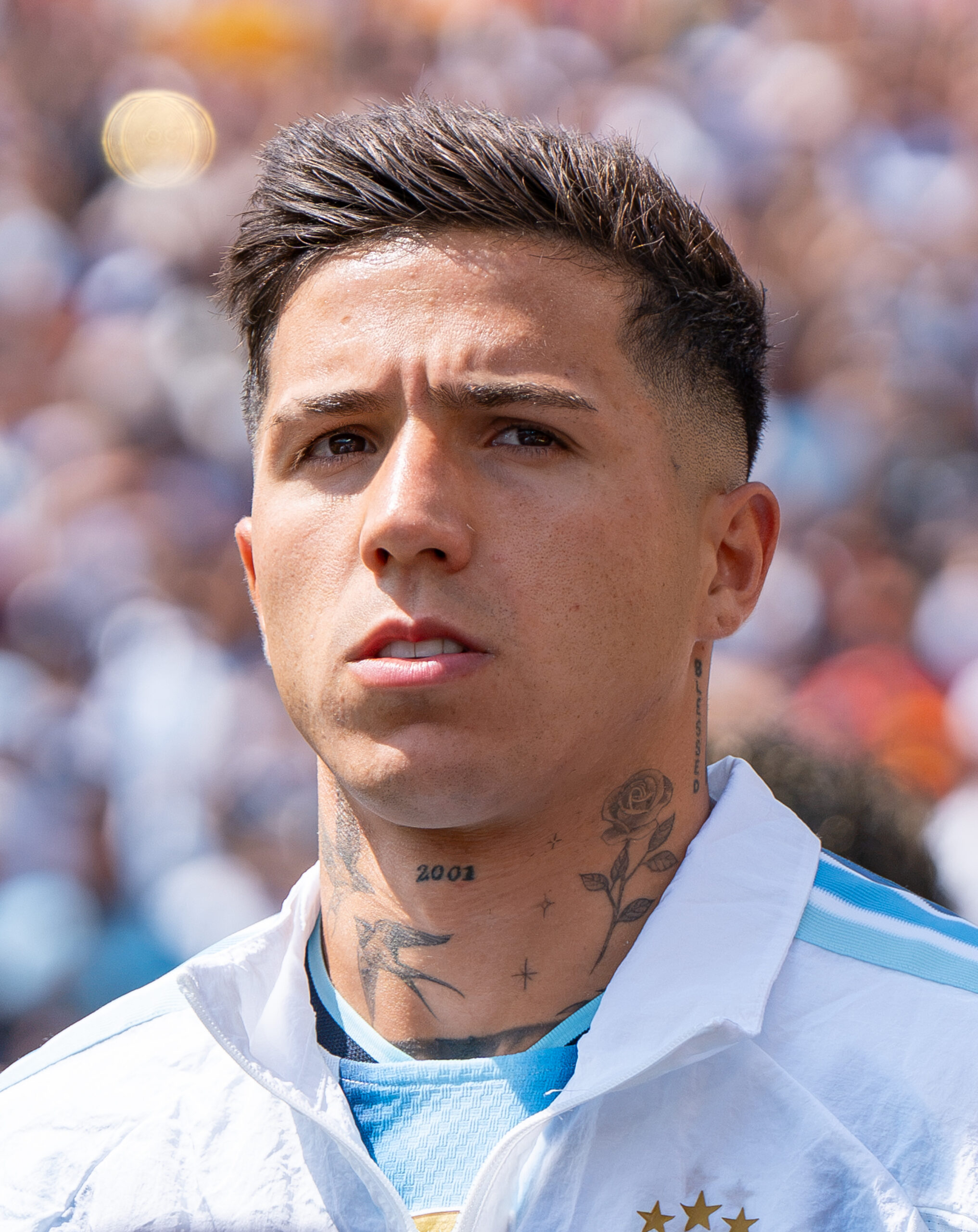 Enzo Fernandez