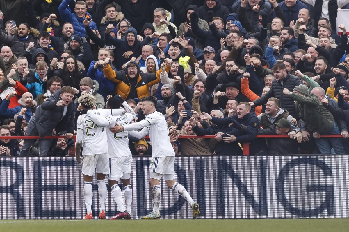 Goal celebration from Brighton vs Leeds